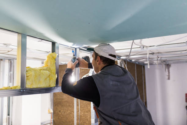 Best Insulation Contractor Near Me  in Cudahy, WI