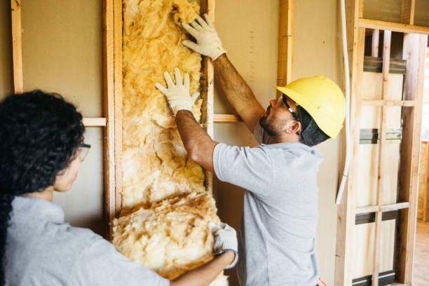 Best Best Insulation Companies  in Cudahy, WI